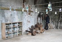 The Old Herring Factory, Dj&uacute;pav&iacute;k